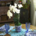 Faux Orchid in a Blue and White Chinoiserie Flower Pot