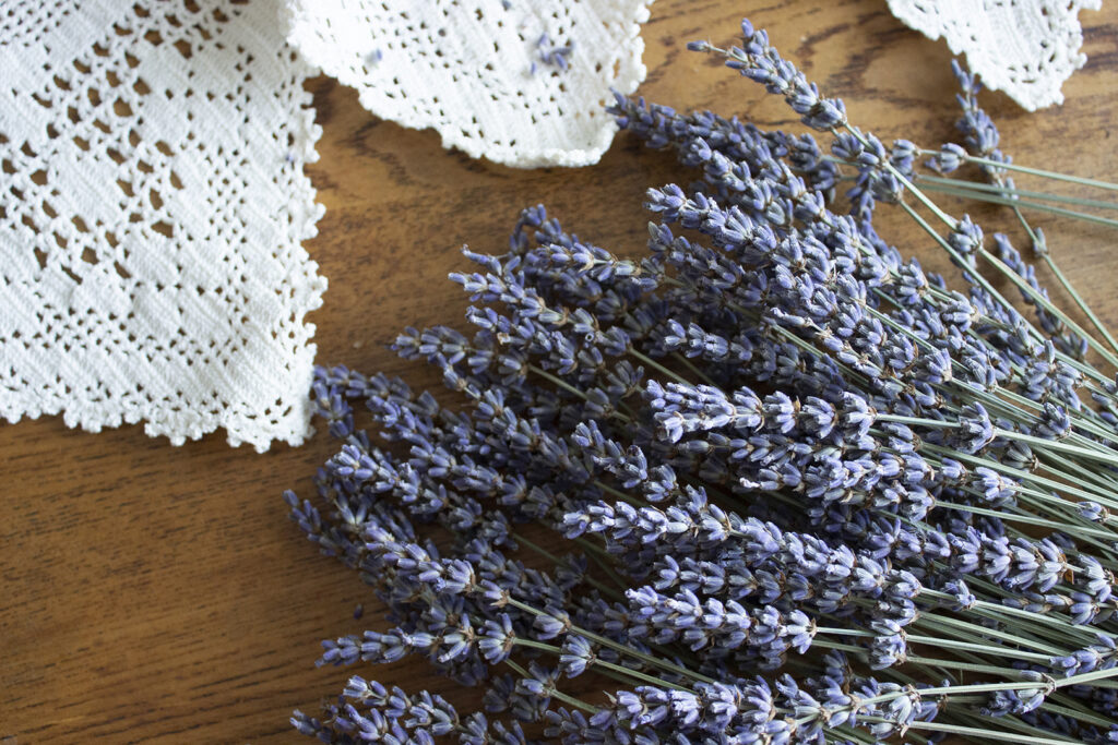 Dried lavender