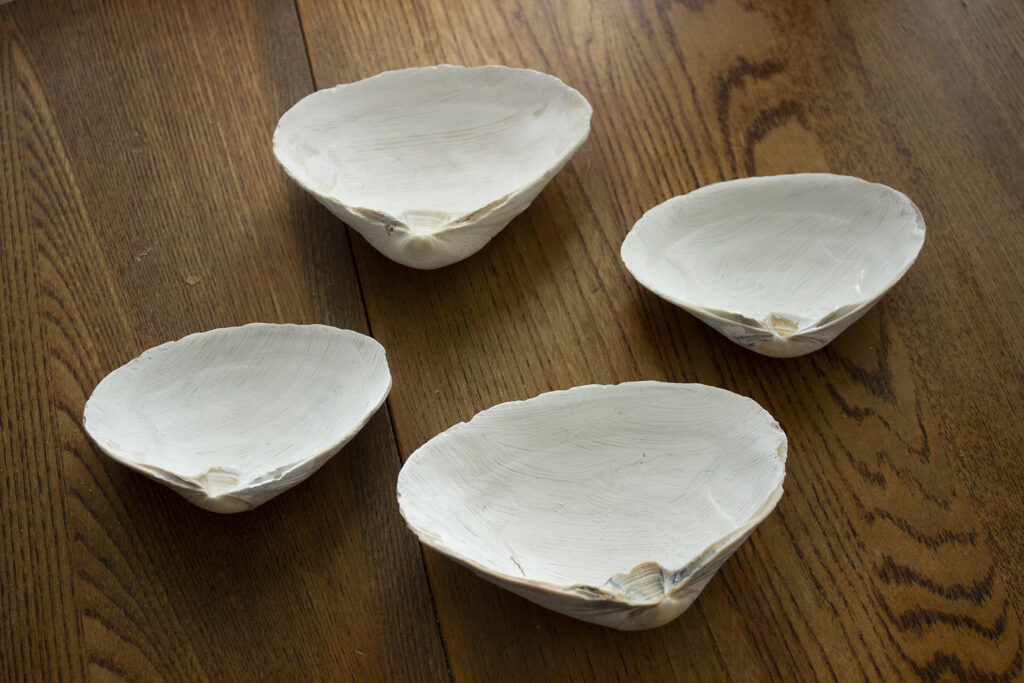 Insides of seashells painted white