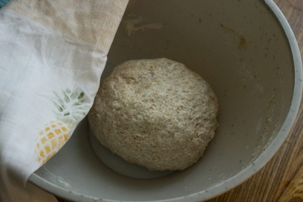 Tortilla Dough