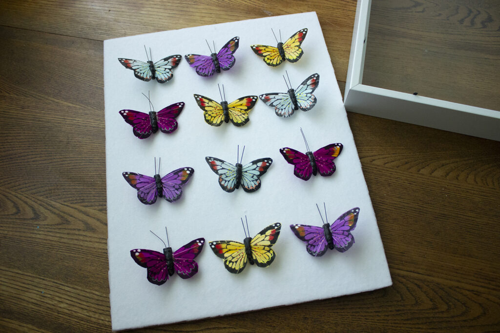 Laying out faux butterflies on a white backdrop
