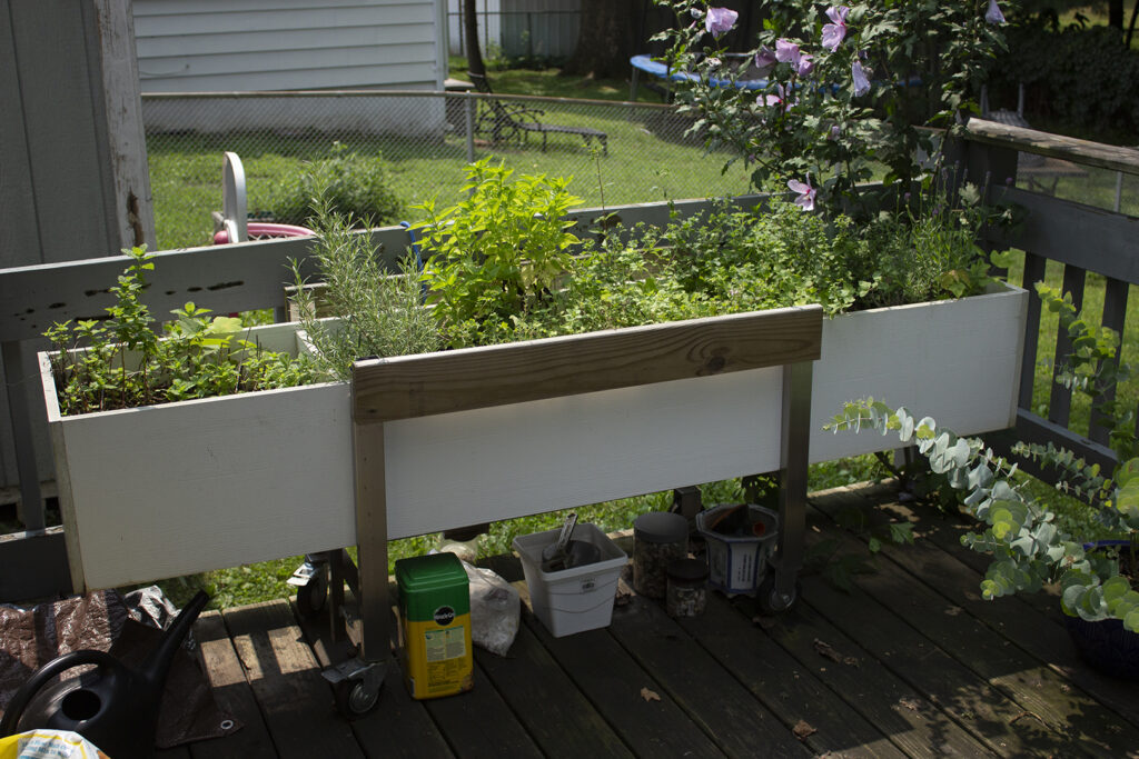Herb recipes: White raised bed herb garden