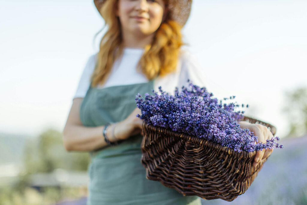 Lavender Recipes