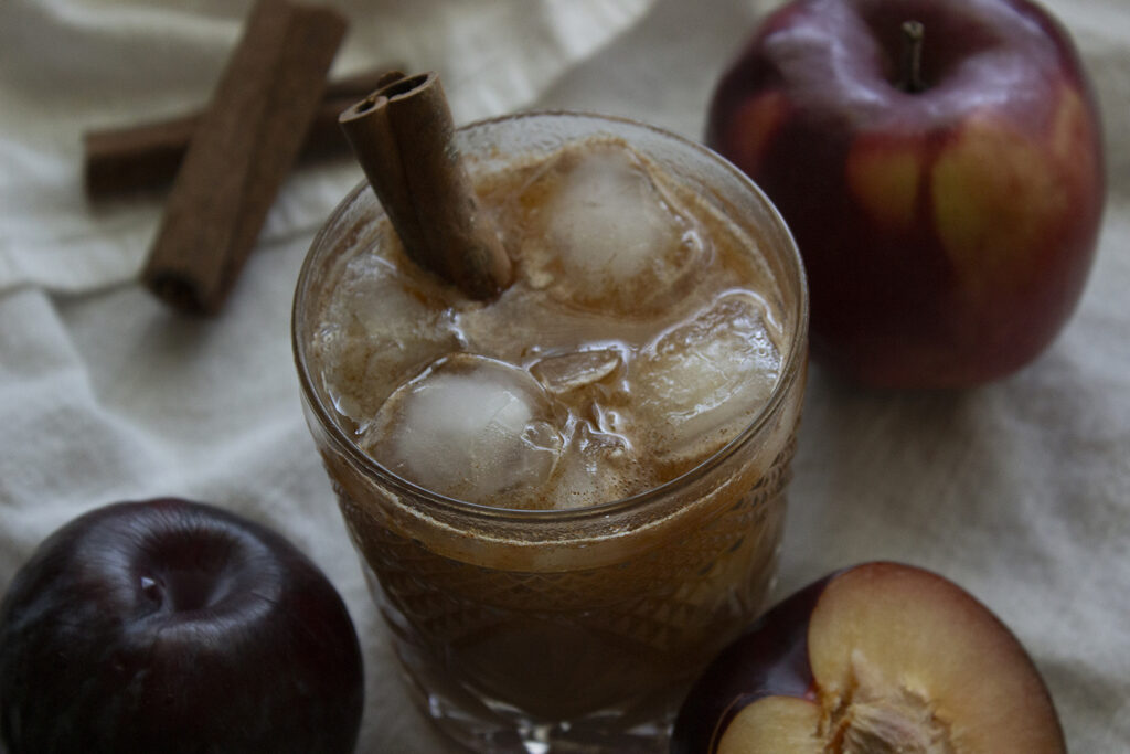 Plum Juice Recipe Mocktail