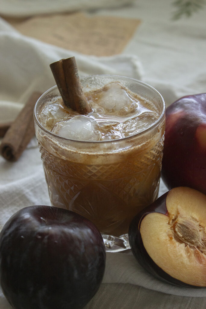 Plum Juice Recipe