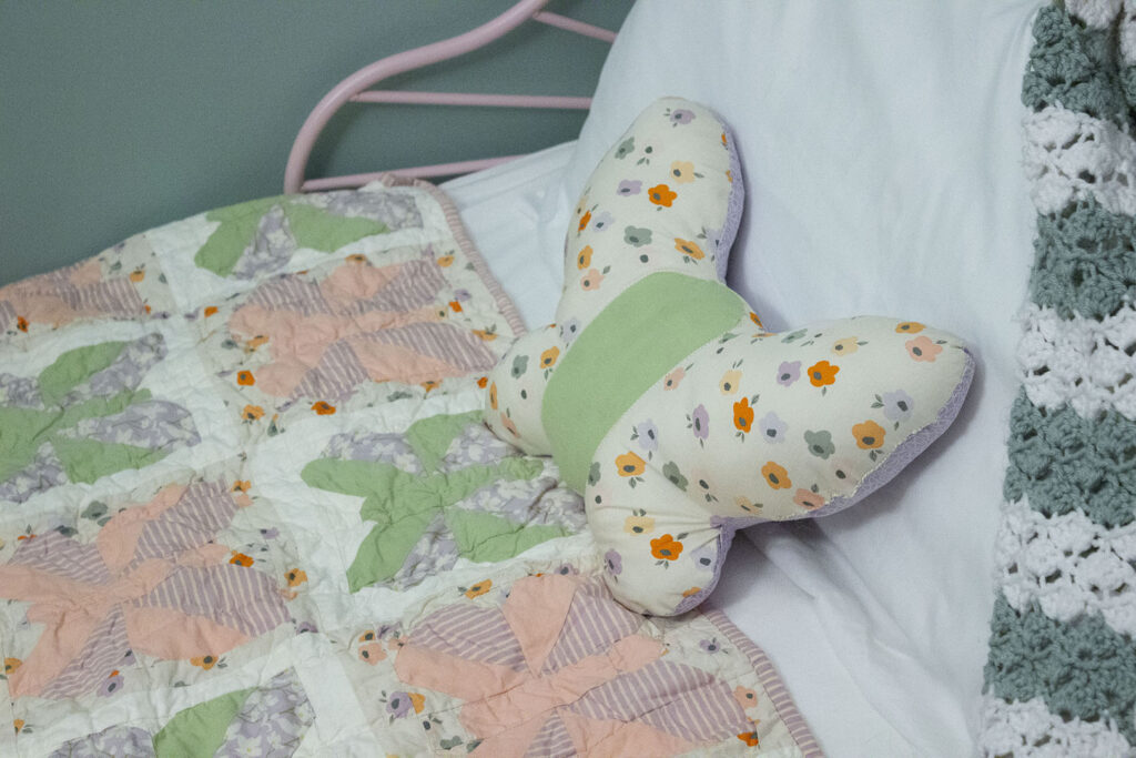 Butterfly Pillow and Quilt