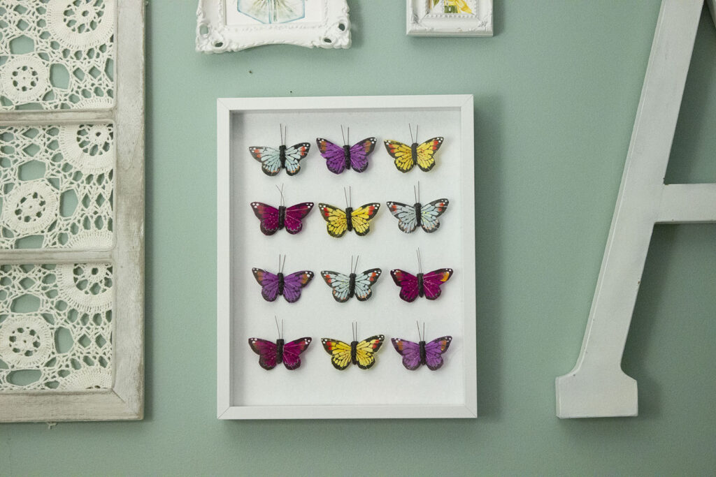 Butterfly Shadow Box