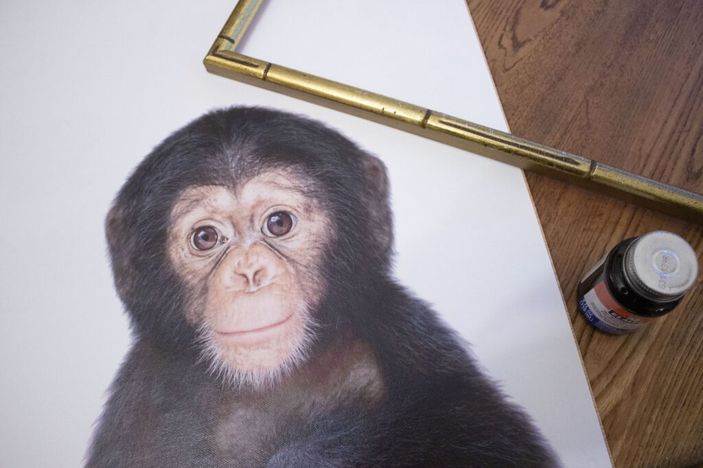 How to Frame Canvas: Flat Canvas Print of Monkey