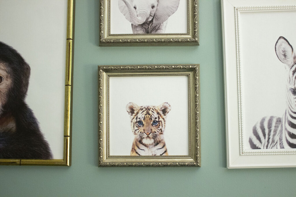 How to Frame Canvas: Wall Collage of Baby Jungle Animals