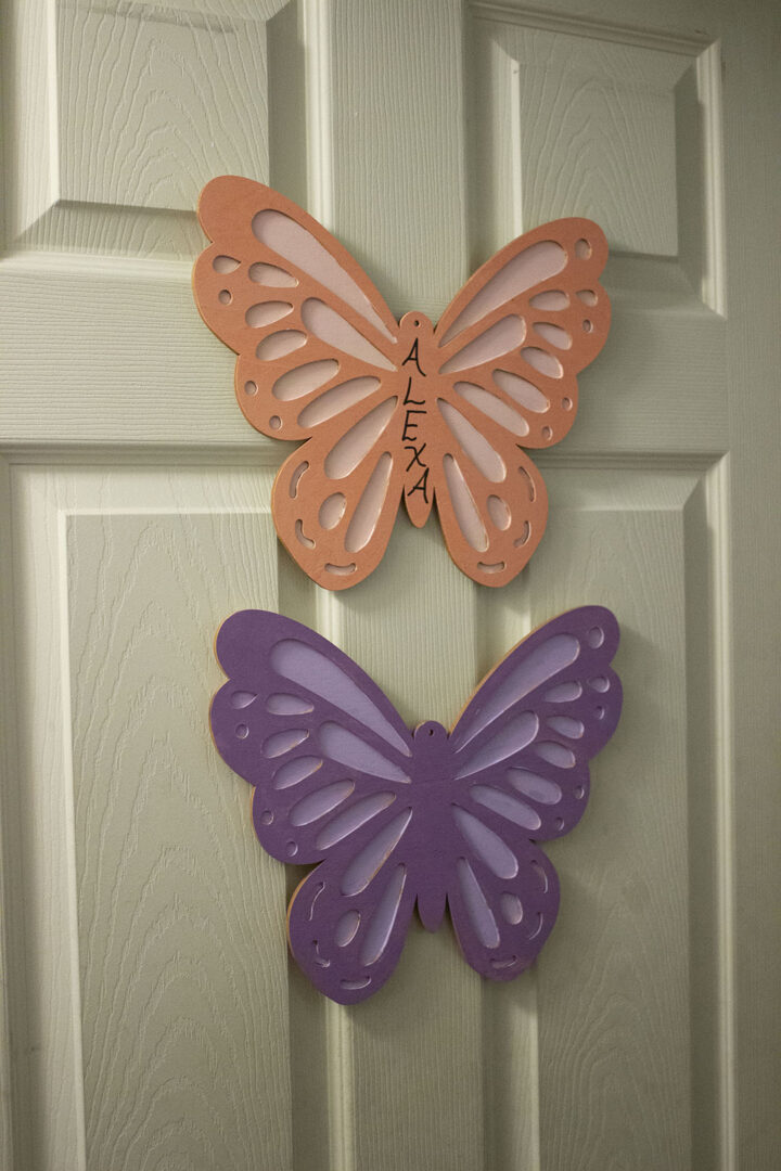 wooden butterflies on door