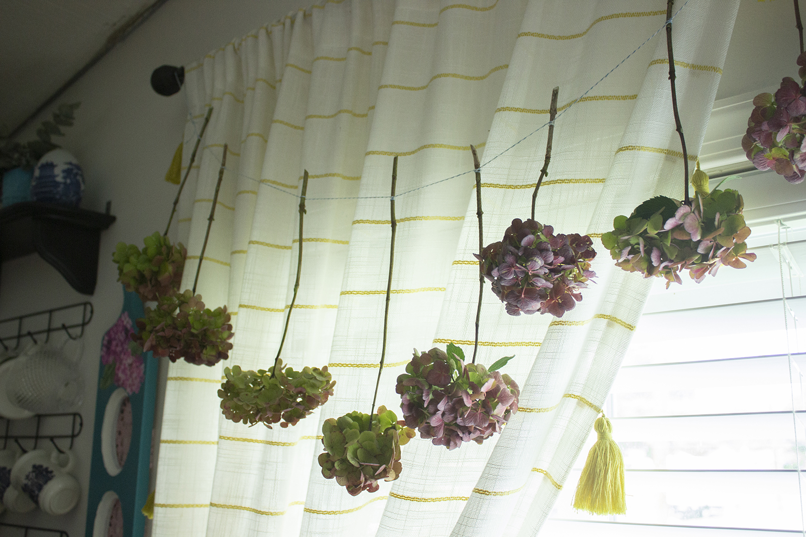 how to dry hydrangeas: row of hydrangeas hung upside down